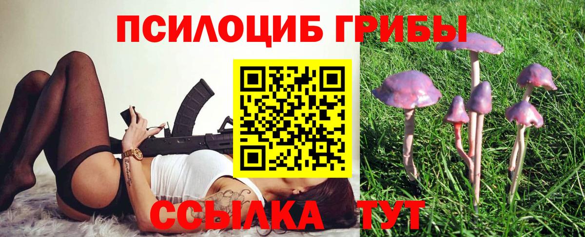 Галлюциногенные грибы Psilocybine cubensis  Псилоцибиновые грибы Psilocybine cubensis  Вход с VPN  Самара 